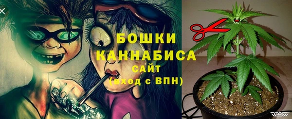 не бодяженный Лабытнанги