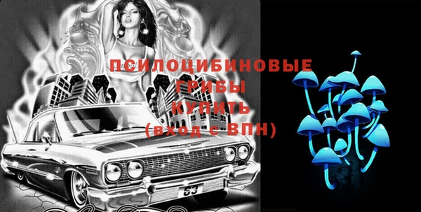 не бодяженный Лабытнанги
