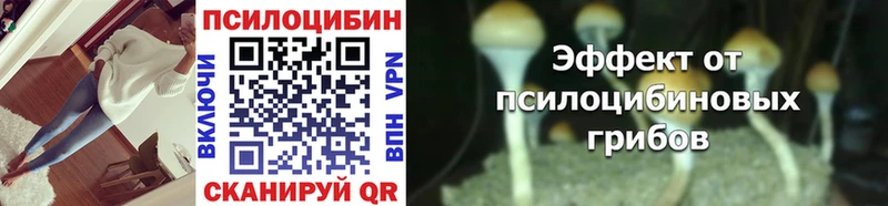 Псилоцибиновые грибы мицелий  Купить закладки  Куртамыш 